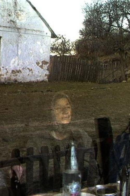 Lindenfeld 1994 1994 official movie poster