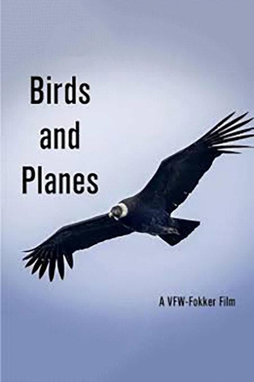 Birds and Planes 1967 official movie poster