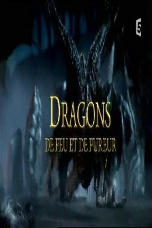Dragons de feu et de fureur 2017 official movie poster
