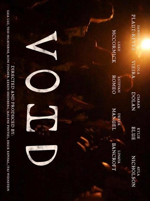 VOID 2025 official movie poster