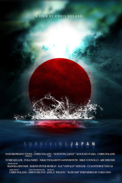 3.11: Surviving Japan 2013 official movie poster