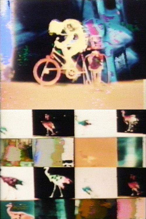 Biological Cycle No. 3 1971 official movie poster