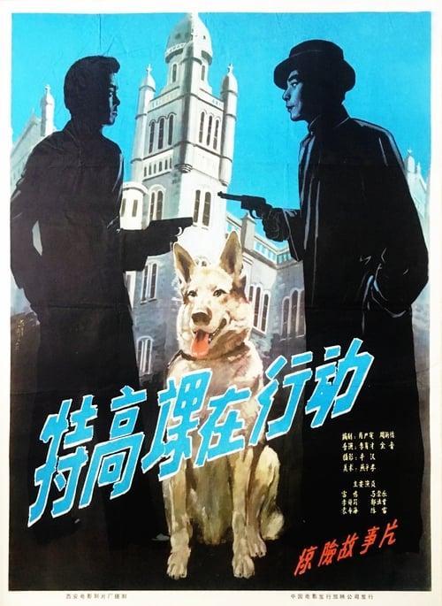 The Secret Service in Action 1981 official movie poster
