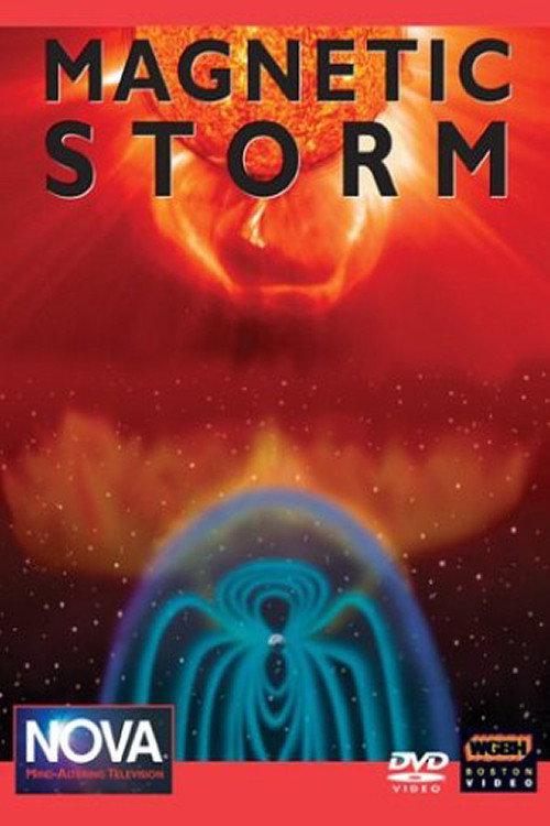 Magnetic Storm 2003 official movie poster