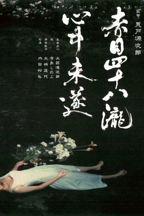 Akame 48 Waterfalls 2003 official movie poster