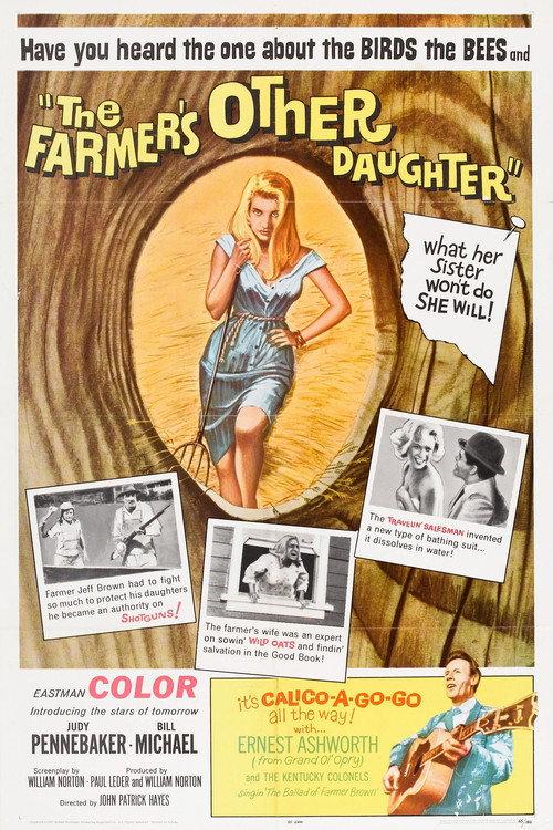 The Farmer's Other Daughter 1965 official movie poster