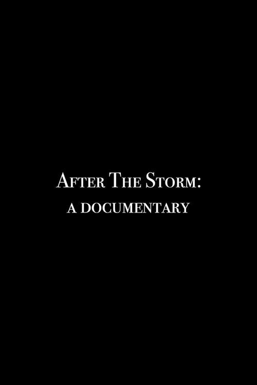 After the Storm: A Documentary 2018 official movie poster