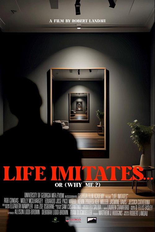 Life Imitates... or (Why Me?) 2024 official movie poster
