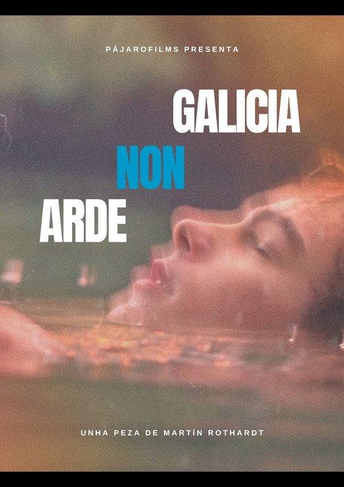 GALICIA NON ARDE 2026 official movie poster
