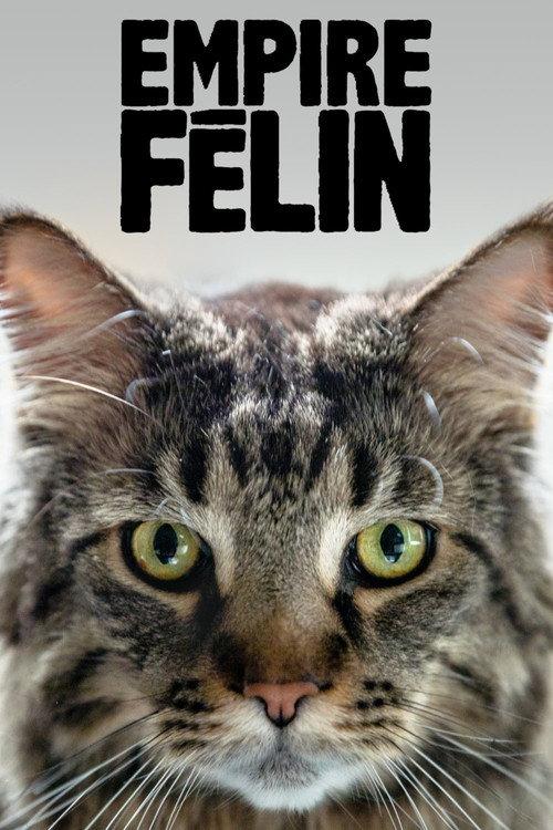 Cat Empire 2019 official movie poster