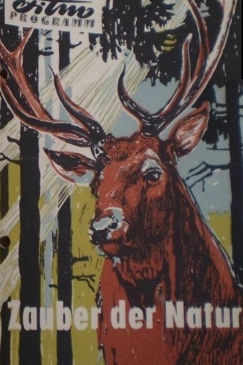 Zauber der Natur 1956 official movie poster