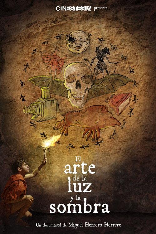 The Art of Light and Shadow 2023 official movie poster