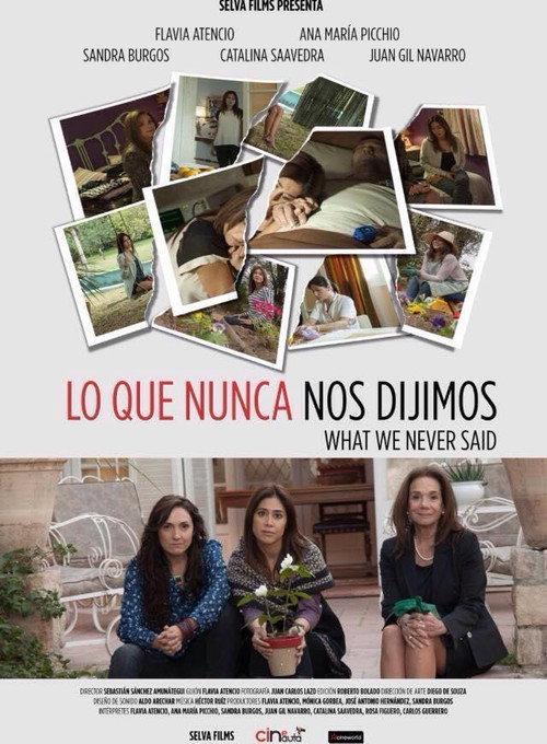 What We Never Said 2015 official movie poster