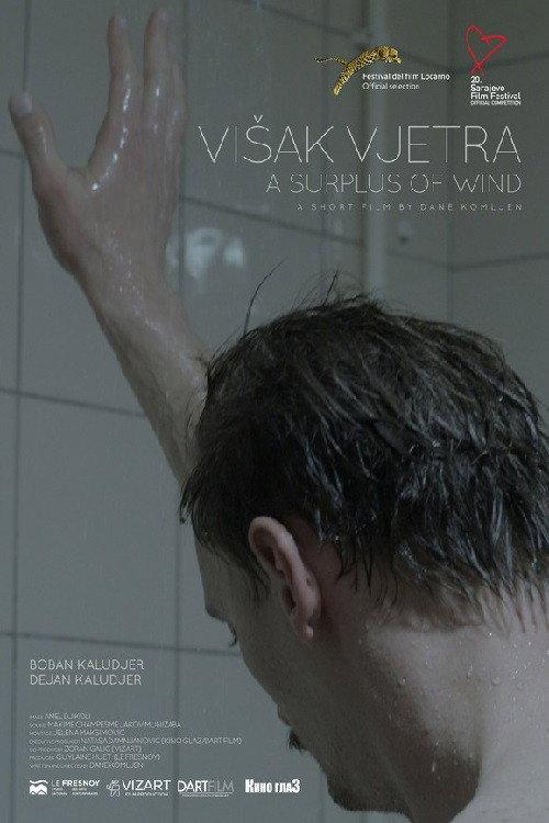 A Surplus of Wind 2014 official movie poster