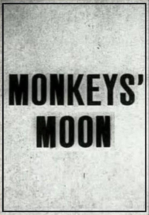 Monkey's Moon 1929 official movie poster