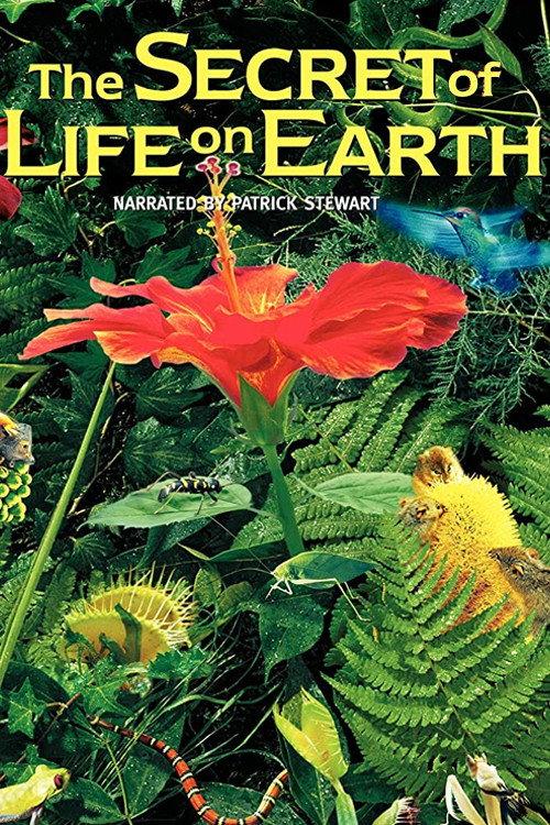 The Secret of Life on Earth 1993 official movie poster
