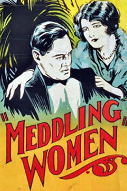 Meddling Women 1924 official movie poster