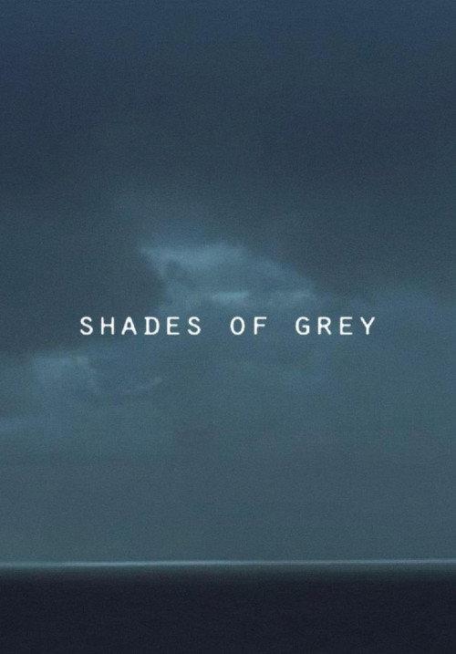 Shades of Grey 2014 official movie poster