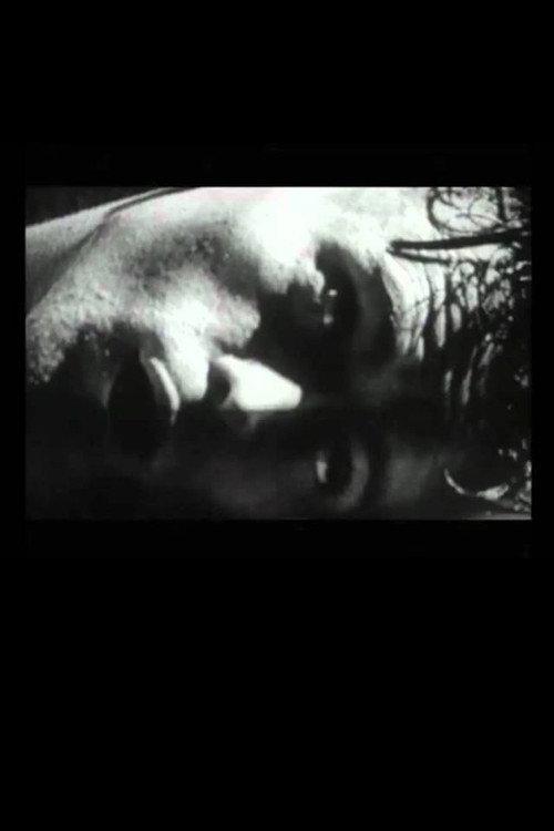 The Hunger Artist 1995 official movie poster