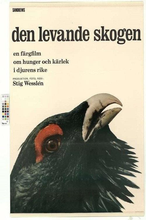The Living Forest 1966 official movie poster