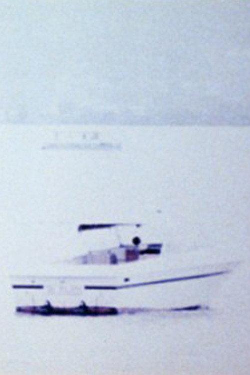 River Ghost. Hudson River Diary Book: IV 1973 official movie poster