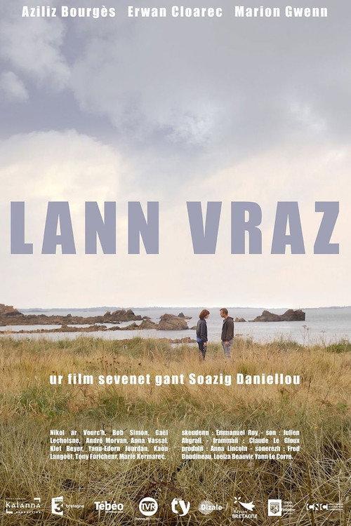 Lann vraz 2013 official movie poster
