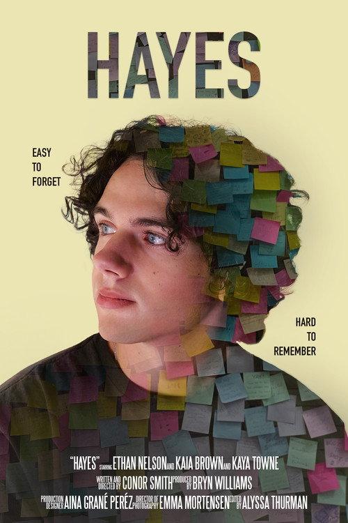 Hayes 2025 official movie poster