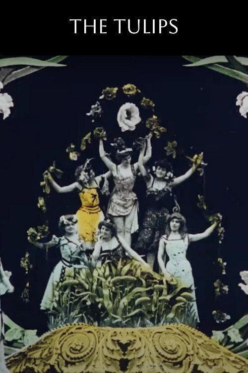 The Tulips 1907 official movie poster