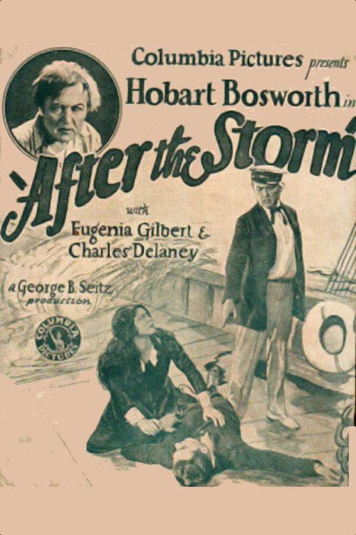 After the Storm 1928 official movie poster