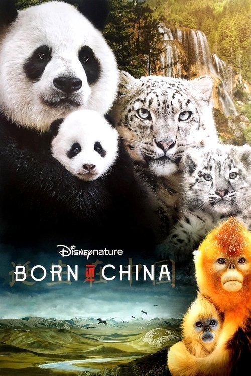 Born in China 2016 official movie poster