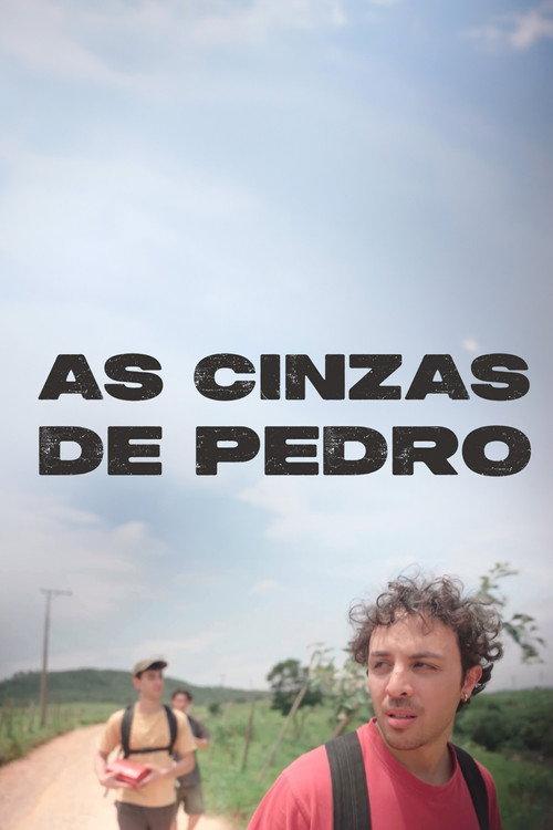As Cinzas de Pedro 2024 official movie poster