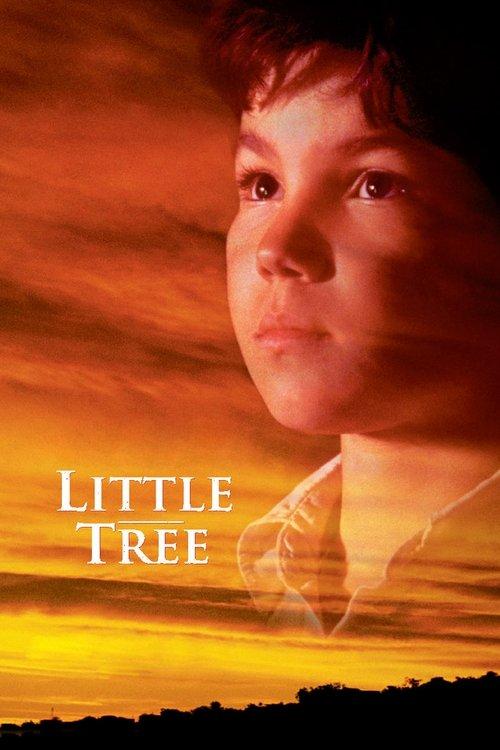 The Education of Little Tree 1997 official movie poster