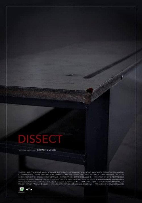 Dissect 2019 official movie poster
