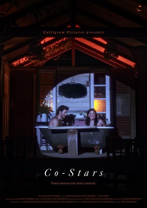 Co-Stars official movie poster