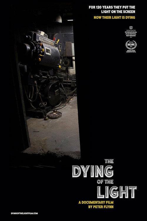 The Dying of the Light 2015 official movie poster