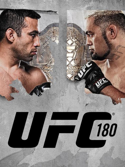 UFC 180: Werdum vs. Hunt 2014 official movie poster