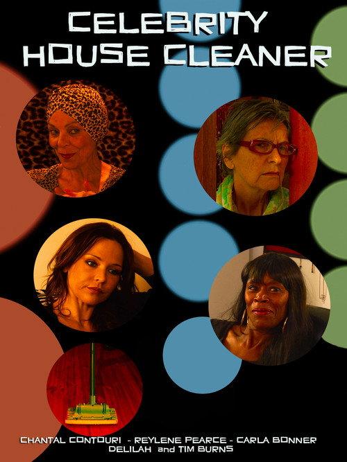 Celebrity House Cleaner 2023 official movie poster