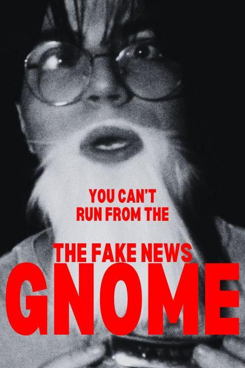 The Fake News Gnome 2024 official movie poster