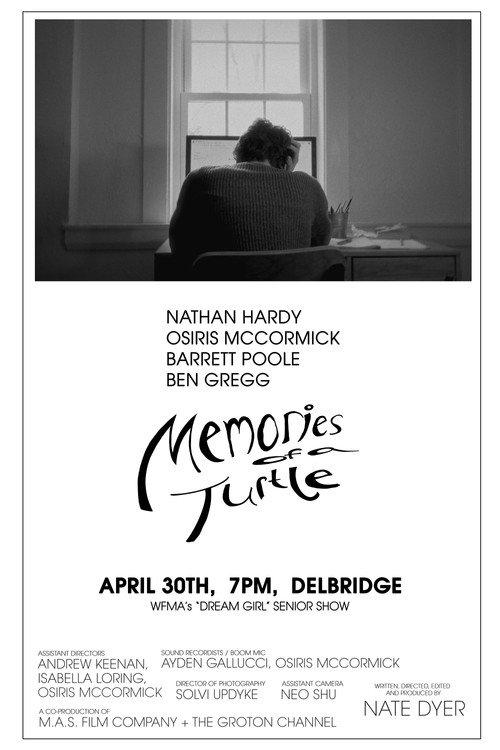Memories of a Turtle 2026 official movie poster