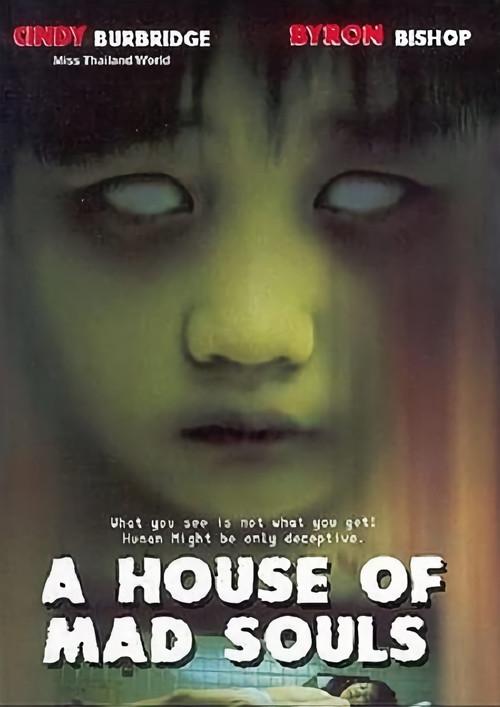 A House of Mad Souls 2003 official movie poster