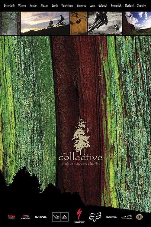 The Collective 2004 official movie poster