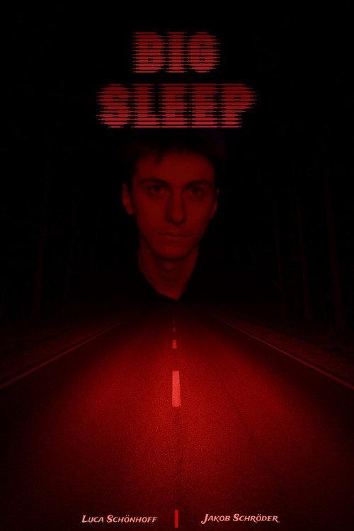 BIG SLEEP 2025 official movie poster