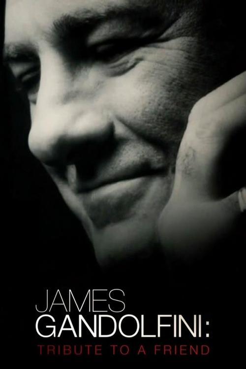 James Gandolfini: Tribute to a Friend 2013 official movie poster