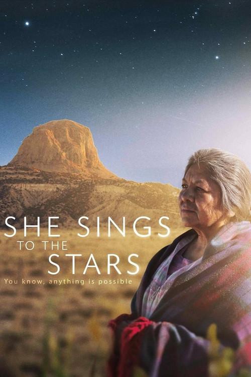 She Sings to the Stars 2014 official movie poster