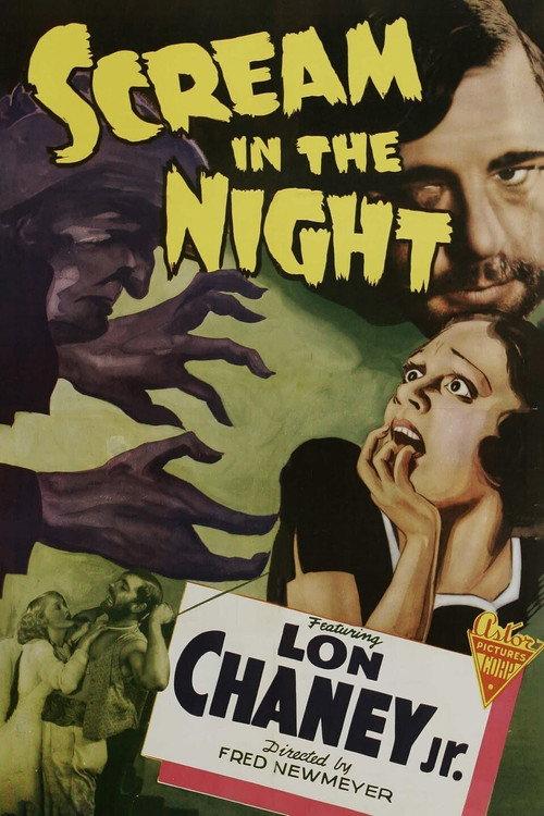 A Scream in the Night 1935 official movie poster