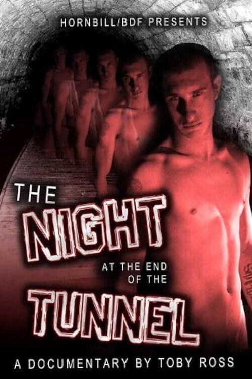 The Night at the End of the Tunnel 2011 official movie poster