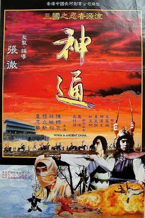 Ninja in Ancient China 1993 official movie poster