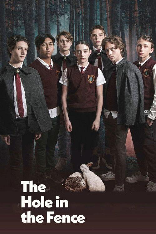 The Hole in the Fence 2021 official movie poster