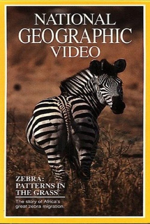 Zebras: Patterns in the Grass 1991 official movie poster