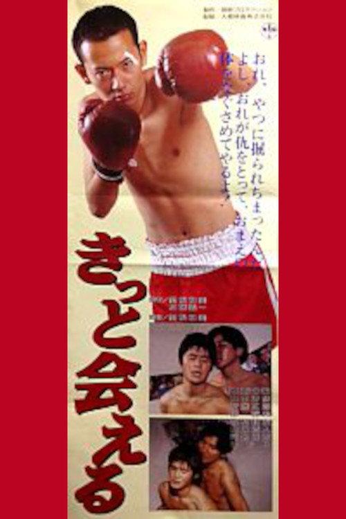 Kitto aeru 1996 official movie poster